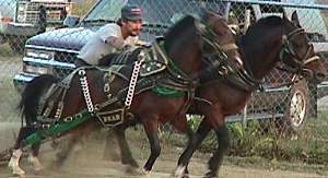 horsepull