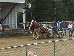Horse Pulling