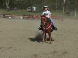 horseshow