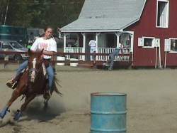 horseshow