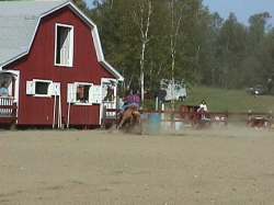 horseshow