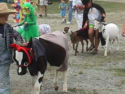 parade