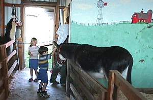 Petting Zoo
