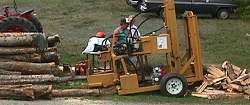 woodsplitter