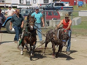 ponypulling