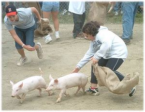 Piggies